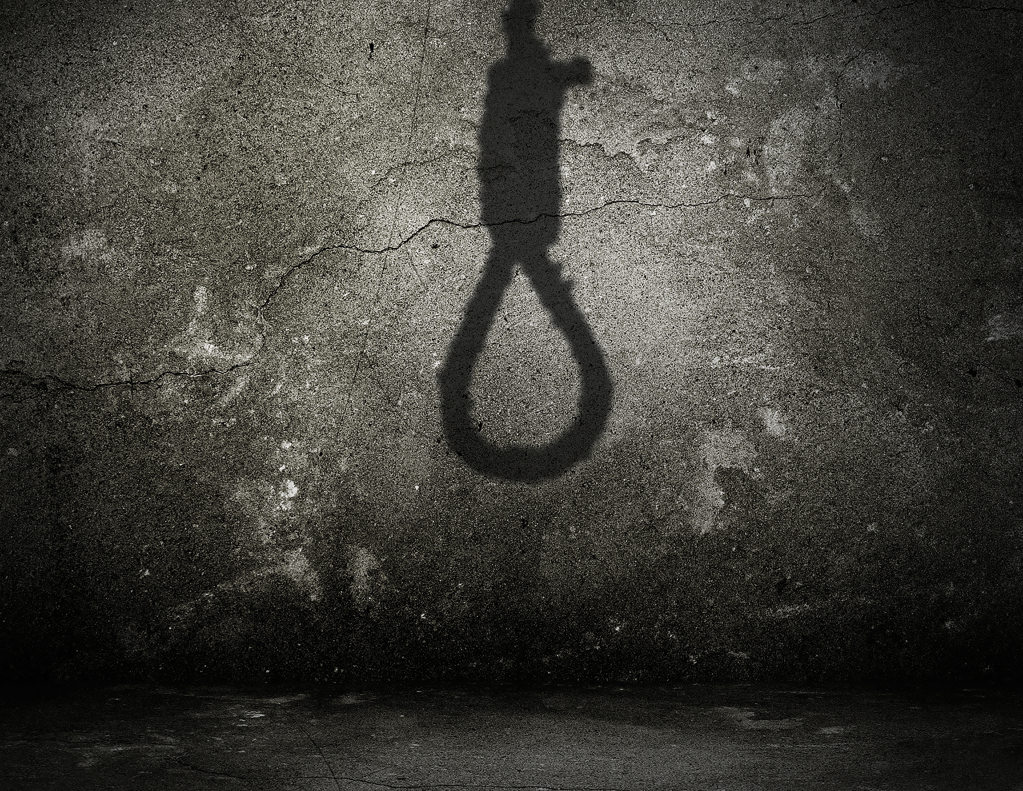 The Crucible - Program cover art